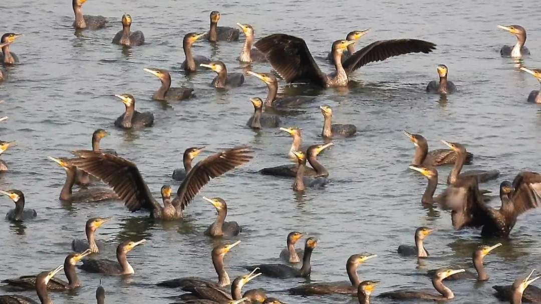 5 Loaves 2 Fish B&B مدينة هوالين الغرفة الصورة